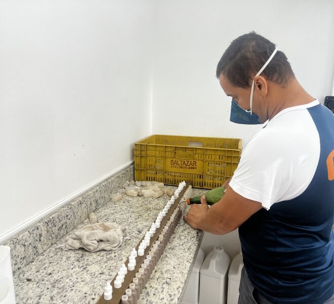 Prefeitura Intensifica Controle de Borrachudos na Cidade