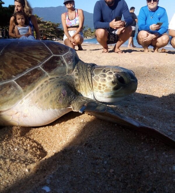 Ilhabela Comemora Dia Mundial das… com Atividades Espe...