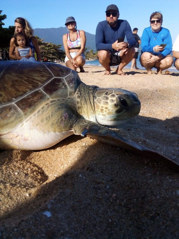 Ilhabela Comemora Dia Mundial das… com Atividades Espe...