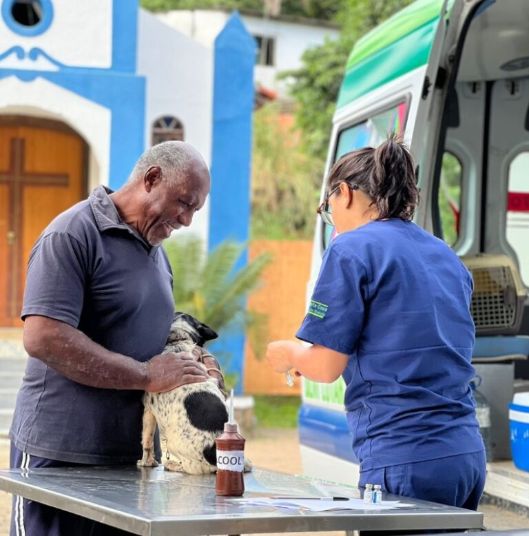Atendimento da Prefeitura de Ilhabela oferece serviços essen...
