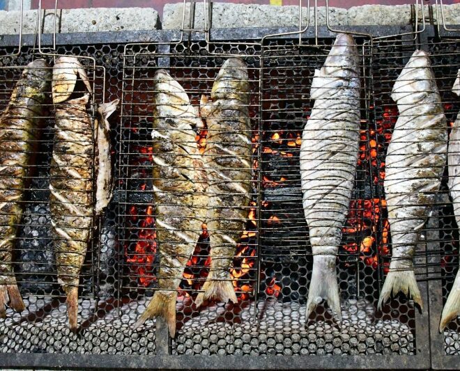 Festival da Tainha de Ilhabela 2023: Sabores e Tradições à B...