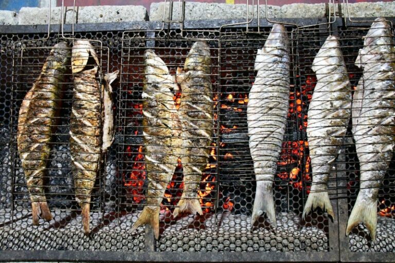 Festival da Tainha de Ilhabela 2023: Sabores e Tradições à B...