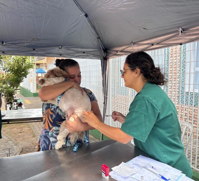 Atendimento Gratuito a 60 Pets no Programa Bem-Estar Animal