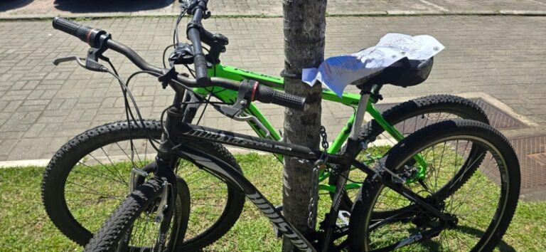 Ilhabela: Fiscalização Intensificada para Combater Irregular...