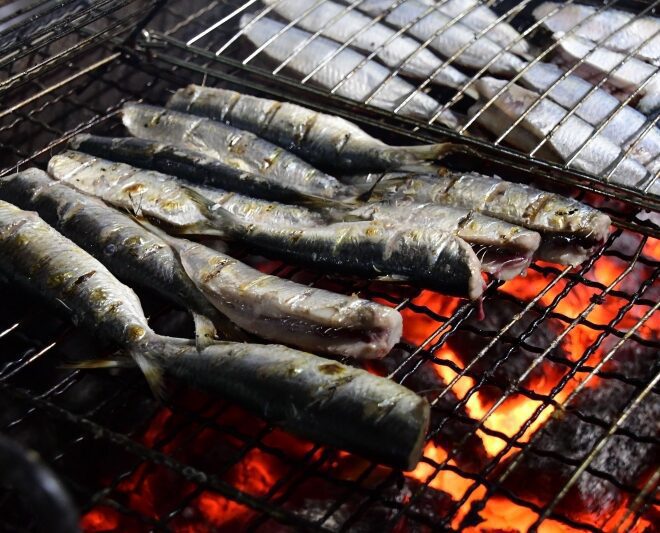 12º Festival da Sardinha: Delícias e Tradições à Vista!