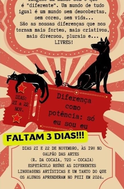 PEII Barra Velha: Destaques do Espetáculo Inovador