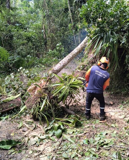 Força-tarefa da Prefeitura de Ilhabela após ventania que ati...