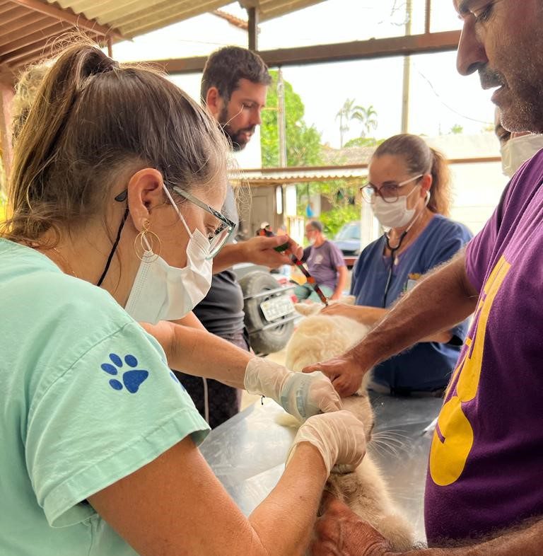 Programa Bem-Estar Animal Avança com Novas Iniciativas e Açõ...