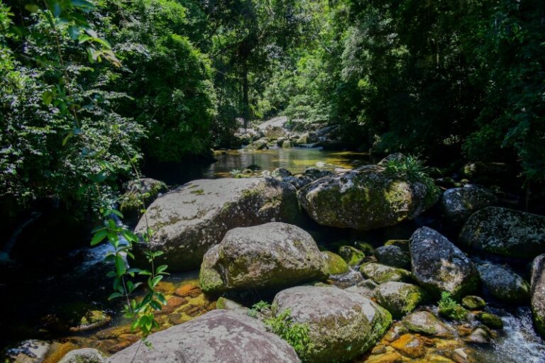 Ilhabela realiza ações de conscientização na Semana do Meio ...