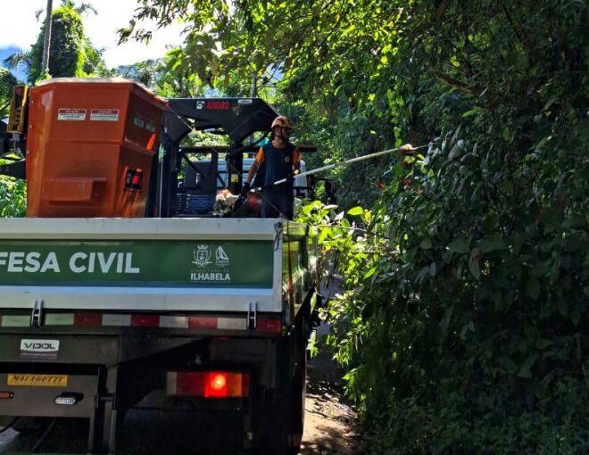 Ilhabela: Defesa Civil Realiza Podas para Segurança e Manute...