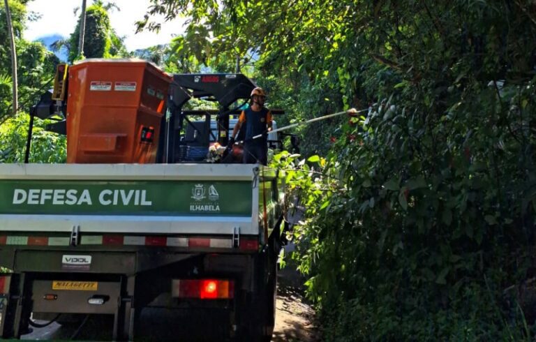 Ilhabela: Defesa Civil Realiza Podas para Segurança e Manute...
