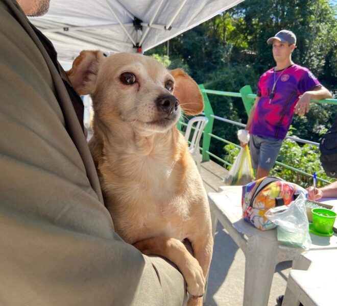 Vacina do Programa Bem-Estar Animal atinge 57 pets no Morro ...