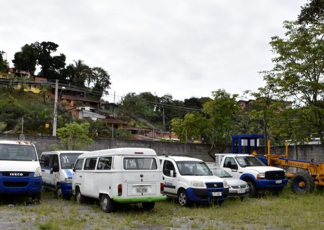 Leilão da Prefeitura de Ilhabela: Oportunidades Imperdíveis ...