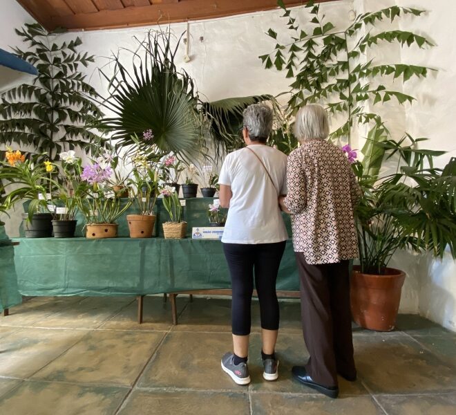 17ª Exposição de Orquídeas em Ilhabela: Beleza e Diversidade...
