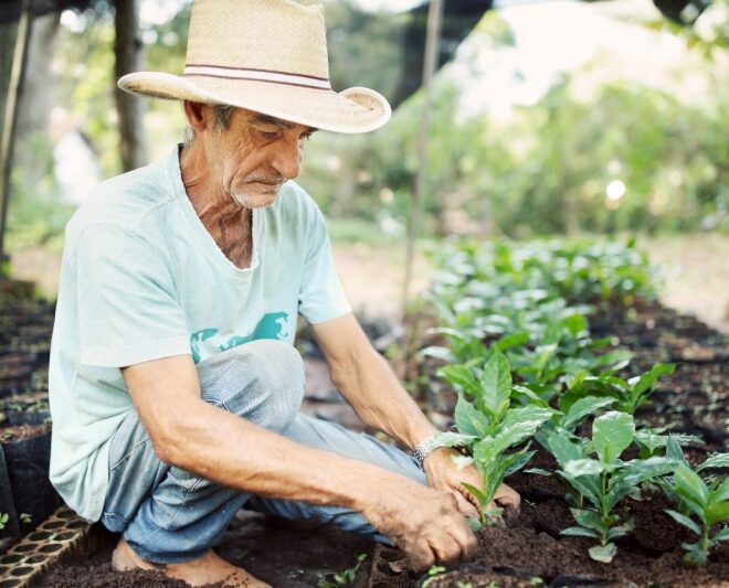 Ilhabela Sedia Evento Inédito sobre Sustentabilidade e Prese...