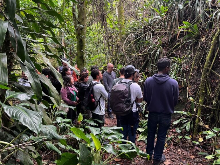 Curso capacita servidores de Ilhabela na identificação da Ma...