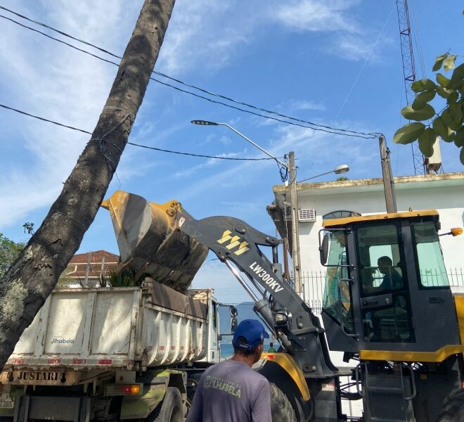 Ilhabela: Prefeitura realiza poda de árvores para melhoria u...
