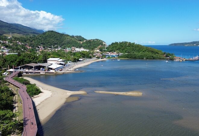 SOS Mangue 2025: Jornada Ecológica para Salvar os Manguezais