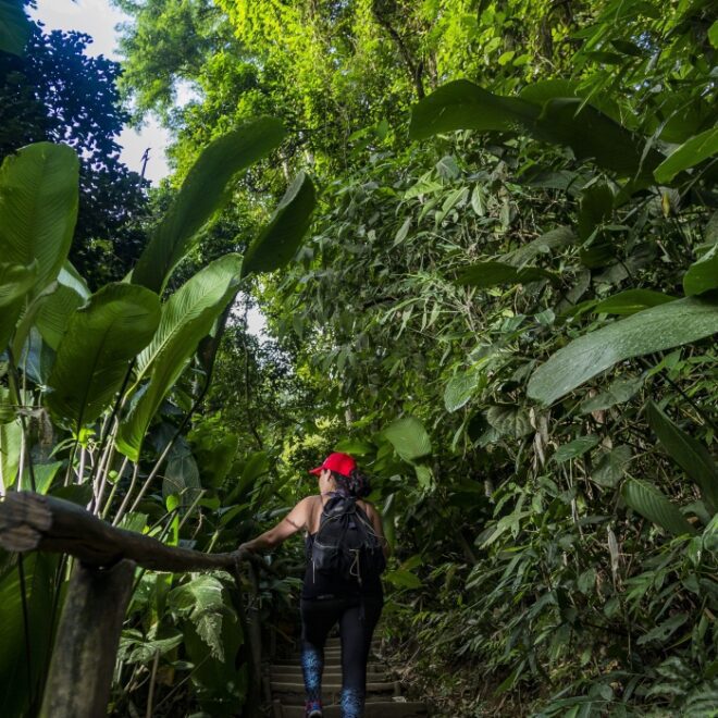 Ecoturismo em Ilhabela: o que é e como praticar?