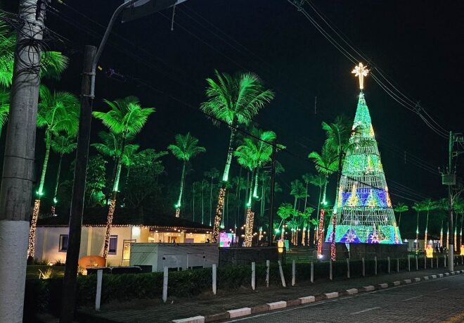Última Chance para Aproveitar o Natal Luz em [Cidade]