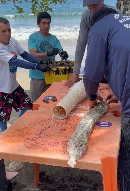 Prefeitura de Ilhabela e AMESP promovem evento em parceria