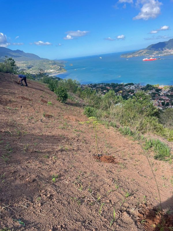 Ilhabela: Balanço Positivo das Ações de Prevenção a Incêndio...