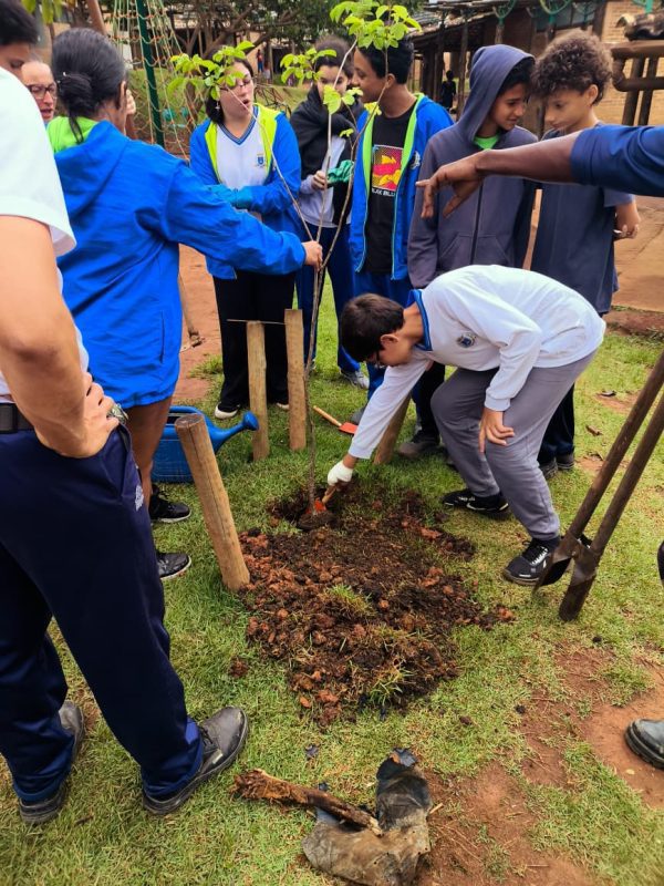 Viveiro Municipal de Ilhabela: Plantio de Nativas com Alunos...