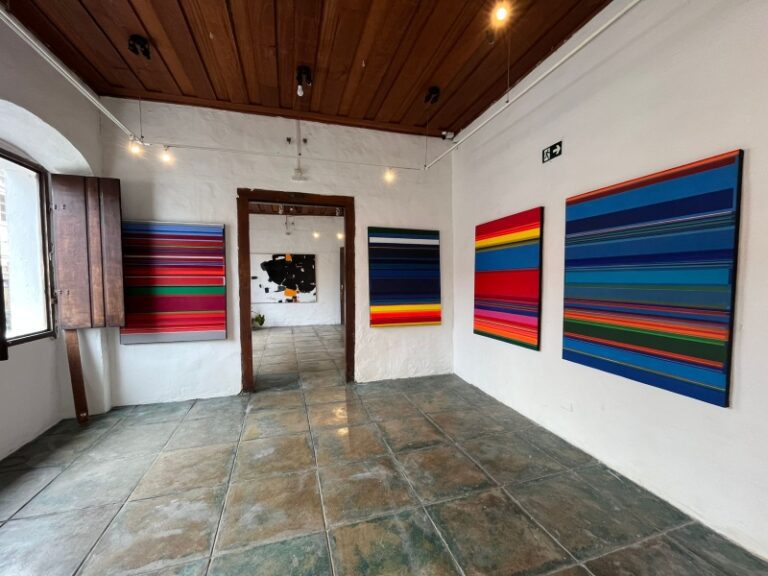 Exposição ‘Cores de Dréan’ de Fernando Feieraben...