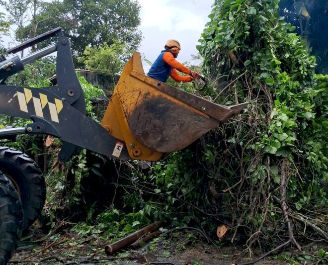 Ilhabela: Balanço das Chuvas e Ações Emergenciais