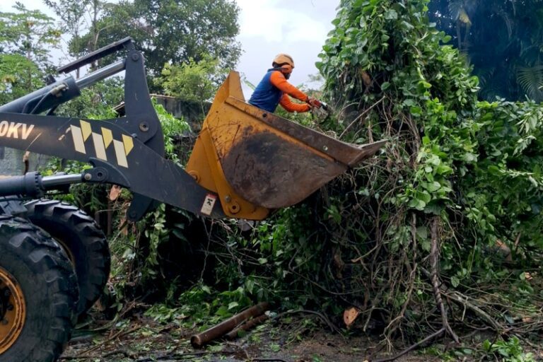 Ilhabela: Balanço das Chuvas e Ações Emergenciais