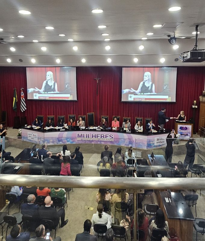 Desafios Atuais da Auditoria Pública no TCE-S