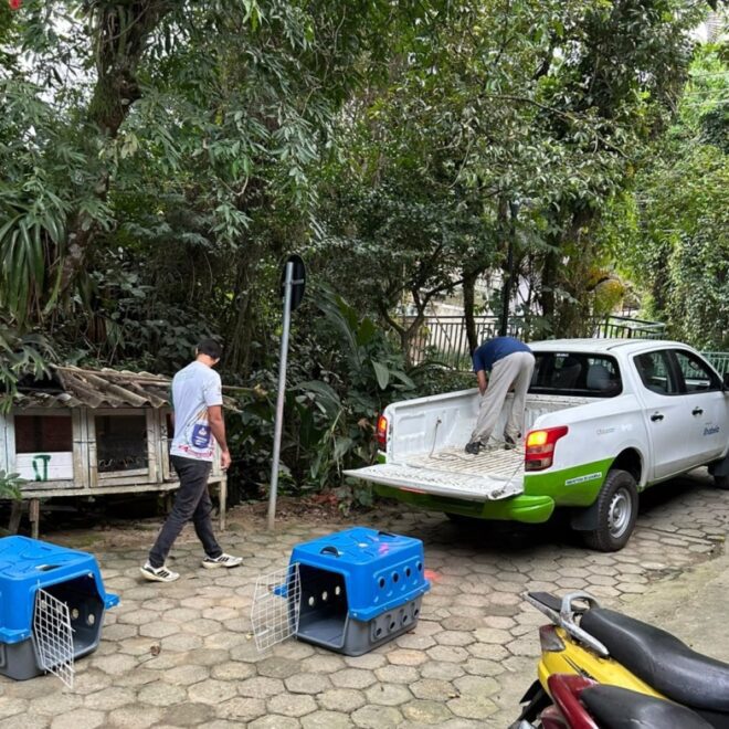 Ilhabela Resgata Cadelas Maltratadas e Fortalece Proteção An...