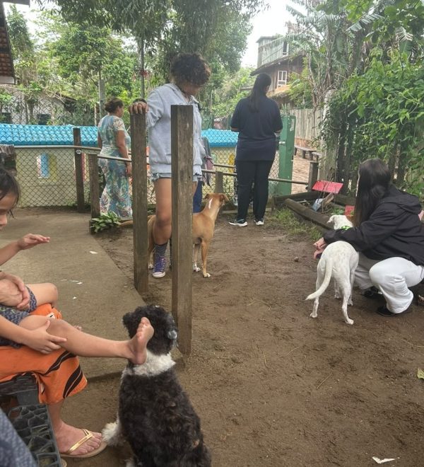 Vacinação Antirrábica no Bonete: Prefeitura de Ilhabela Ampl...