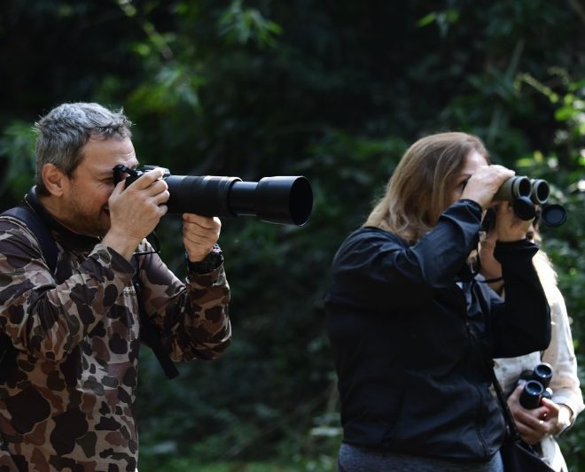 Bird Week: 4,4 mil visitantes impulsionam o turismo em Ilhab...