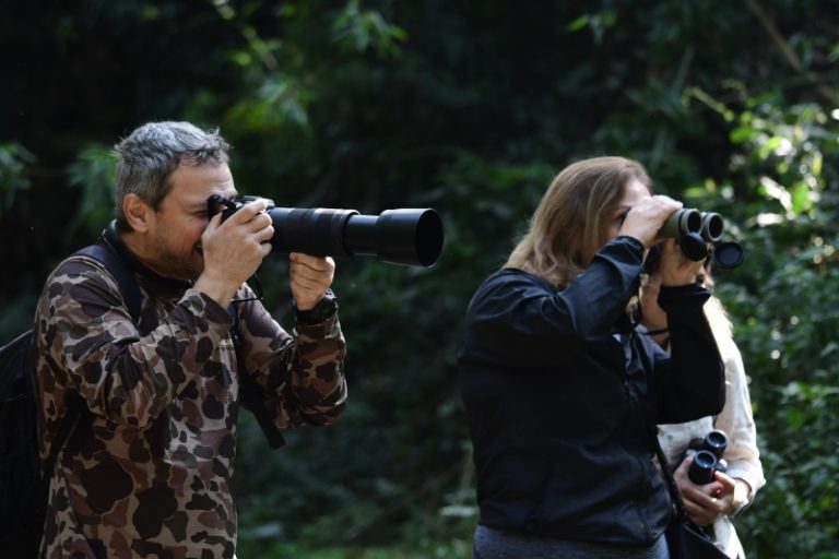 Bird Week: 4,4 mil visitantes impulsionam o turismo em Ilhab...