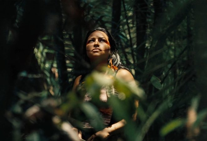 <p><strong>Cine Villa Bella: Programação Especial da Bird We...