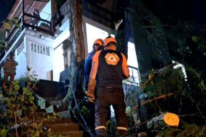 Defesa Civil de Ilhabela Revela Novidades