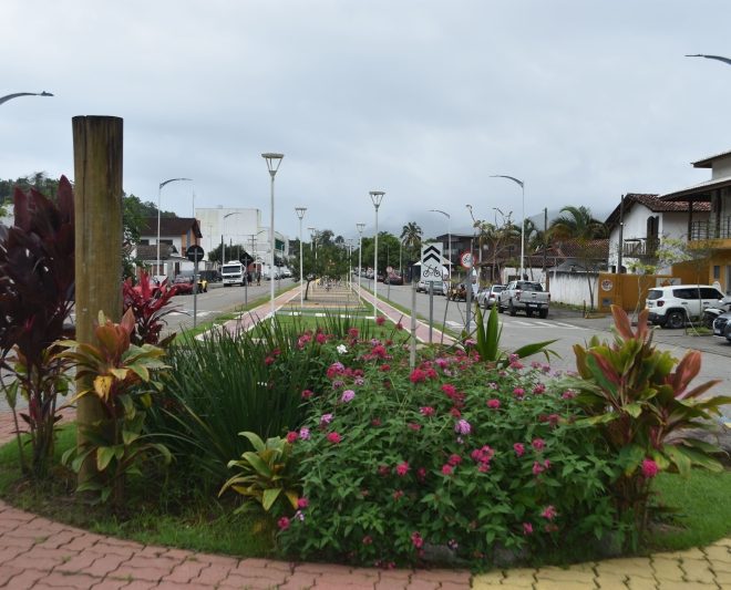 Revitalização do Paisagismo em Praças e Rotatórias de Ilhabe...
