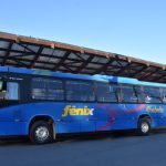 Transporte Público Grátis em Ilhabela no Domingo das Eleições
