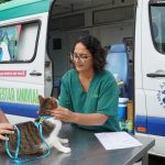 Programa Bem-Estar Animal da Prefeitura em Green Park – Sexta (23)