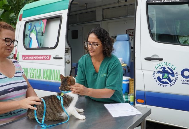 Programa Bem-Estar Animal da Prefeitura em Green Park –...