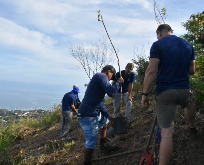 Viveiro Municipal de Ilhabela realiza importante ação de pre...