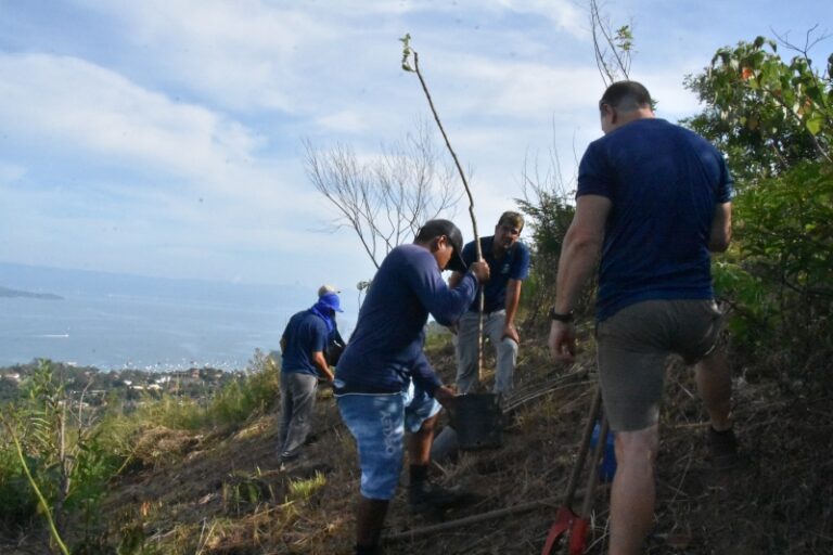 Viveiro Municipal de Ilhabela realiza importante ação de pre...