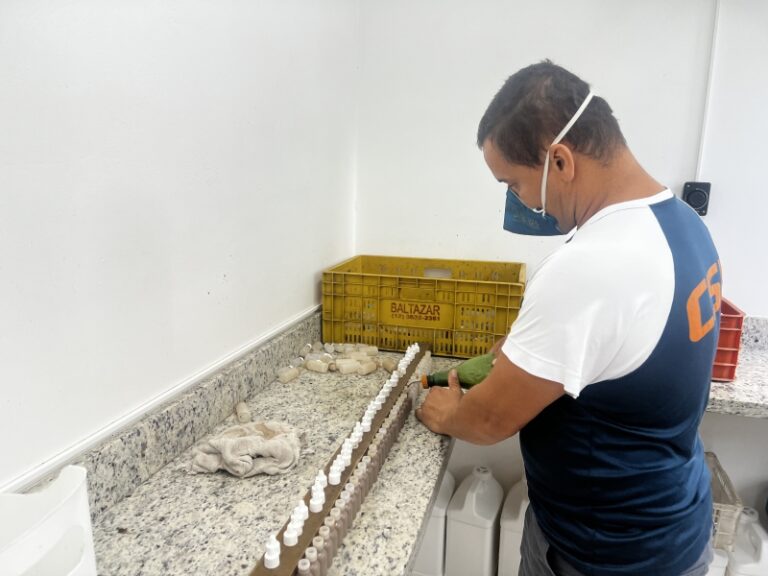 Prefeitura Intensifica Controle de Borrachudos na Cidade