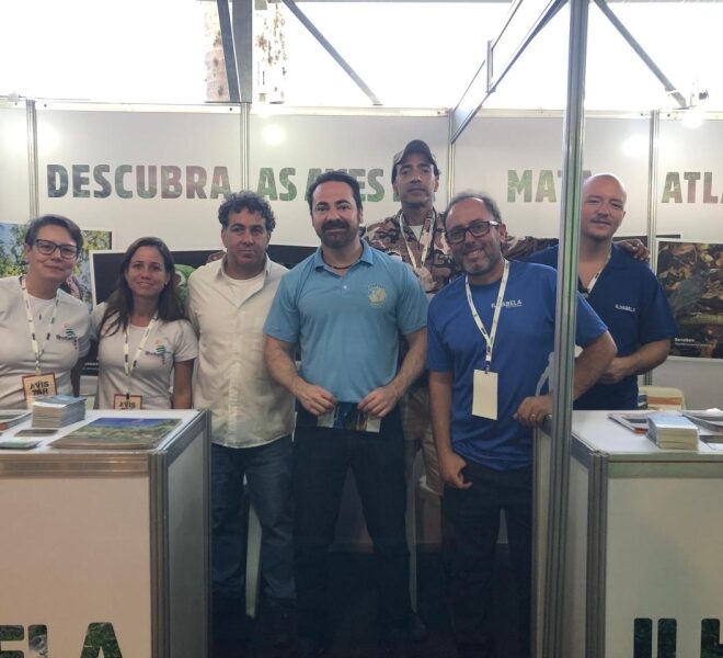 Ilhabela: Ponto de Referência em Birdwatching no Brasil