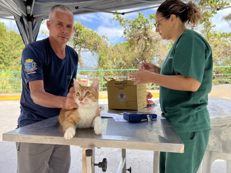Vacinação de 70 pets no Morro dos Mineiros e Cantagalo, Ilha...