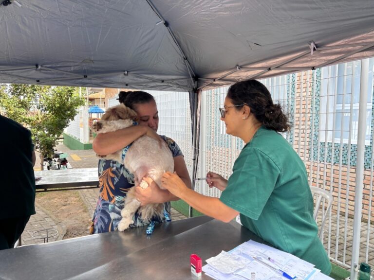Atendimento Gratuito a 60 Pets no Programa Bem-Estar Animal