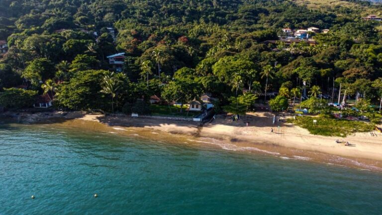 Virada Cultural Agita a Praia da Armação com Diversas Atraçõ...