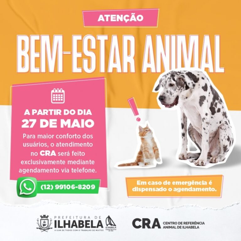 Atendimento no Centro de Referência: Como Acessar e Benefíci...