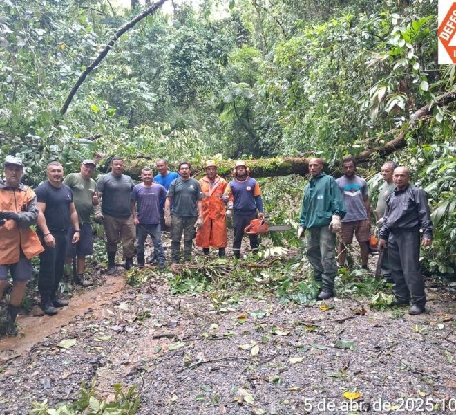 Defesa Civil de Ilhabela Atende Mais de Mil Ocorrências